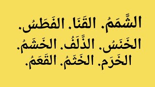 اللغة العربية الفصحى : أوصاف الأنف