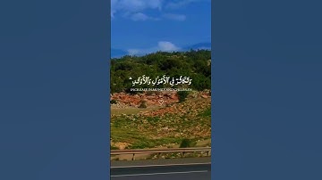 القران الكريم غذاء الروح #القرآن_الكريم #صوت_الهداية #قرآن
