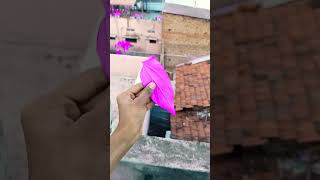 #flowers #love #beautiful #nature #tutorial #cute #horror #tutting #butterfly #beautifulflowers