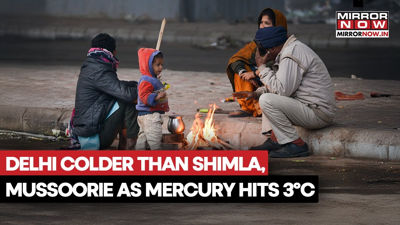India Grips In Cold Wave: Delhi-NCR Colder Than Shimla, Mussoorie As Mercury Hits 3°C | Watch