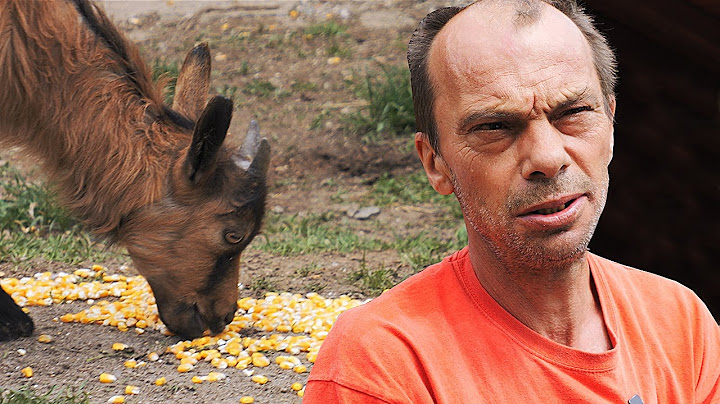 Dominko posadio 300 kilograma očekuje tri tone krumpira