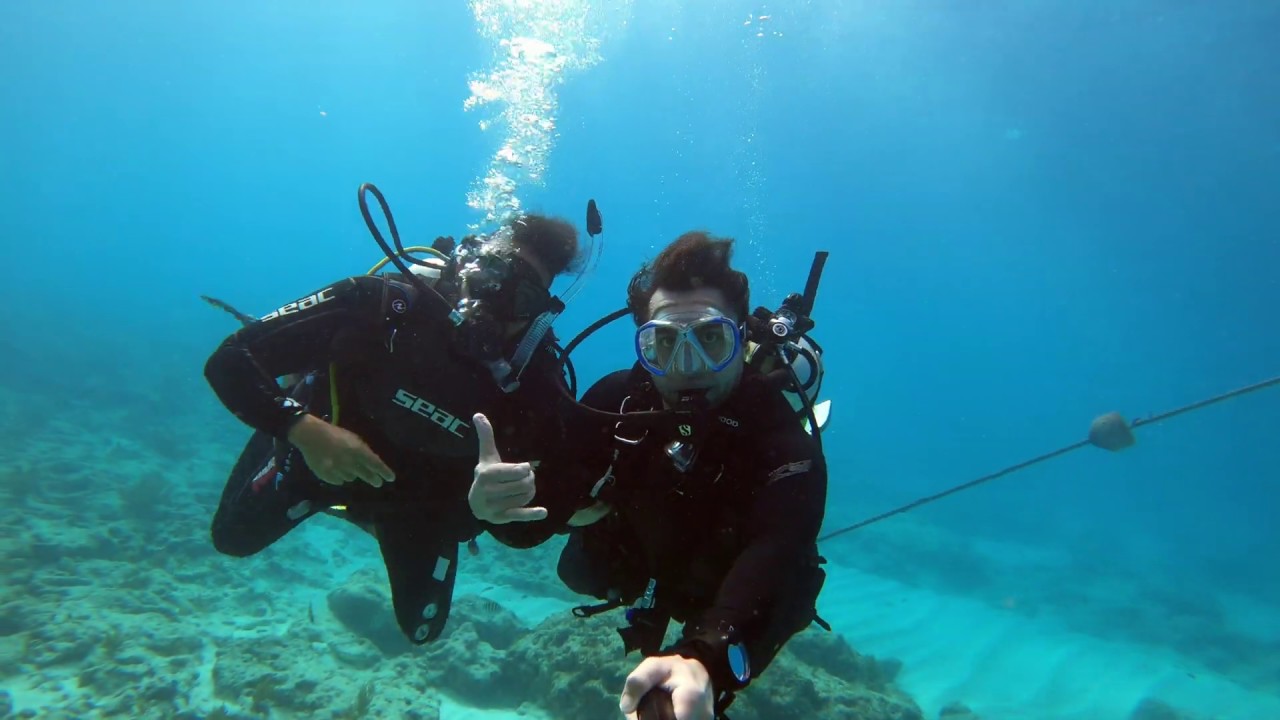 Scuba Diving in Key Largo Pickle's Reef (GoPro HERO8) YouTube