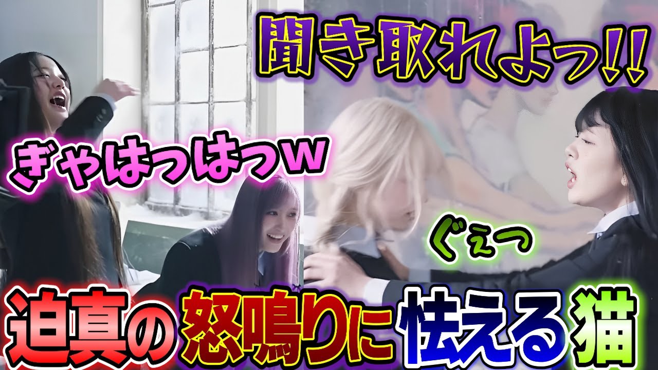 ユジンとリズが喧嘩する演技を見て腹抱えて大爆笑するウォニョンが面白すぎる