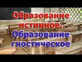 Образование истинное и образование гностическое. Реплика Романа Вершилло #антимодернизм