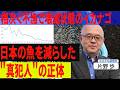 イカナゴが壊滅的に獲れなくなった…日本の魚を減らした"真犯人"の正体