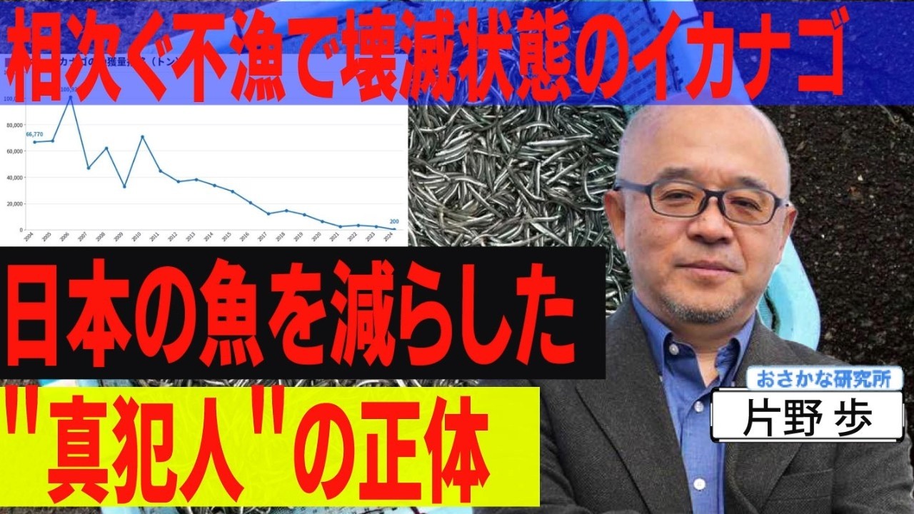 イカナゴが壊滅的に獲れなくなった…日本の魚を減らした"真犯人"の正体