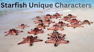 Starfish Secrets Revealed 🌊 | Amazing Facts About Sea Stars You Never Knew