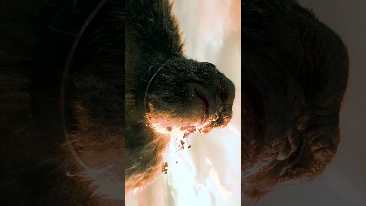 Kingkong Vs Godzilla Ocean Battle