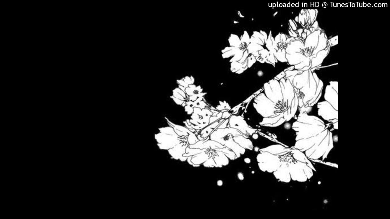 Манга бумажный цветок 79. Сакура рисунок. Сакура черно белая. Сакура на черном фоне. Сакура на черном фоне рисунок.