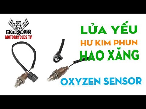 Video: Khi nào nên thay cảm biến oxy?