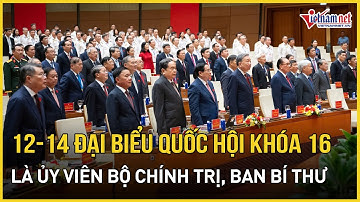 Dự kiến 12-14 đại biểu Quốc hội khóa 16 là ủy viên Bộ Chính trị, Ban Bí thư | Báo VietNamNet