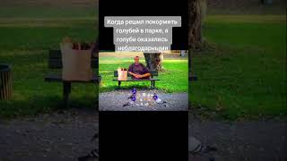 Голуби Ахирели