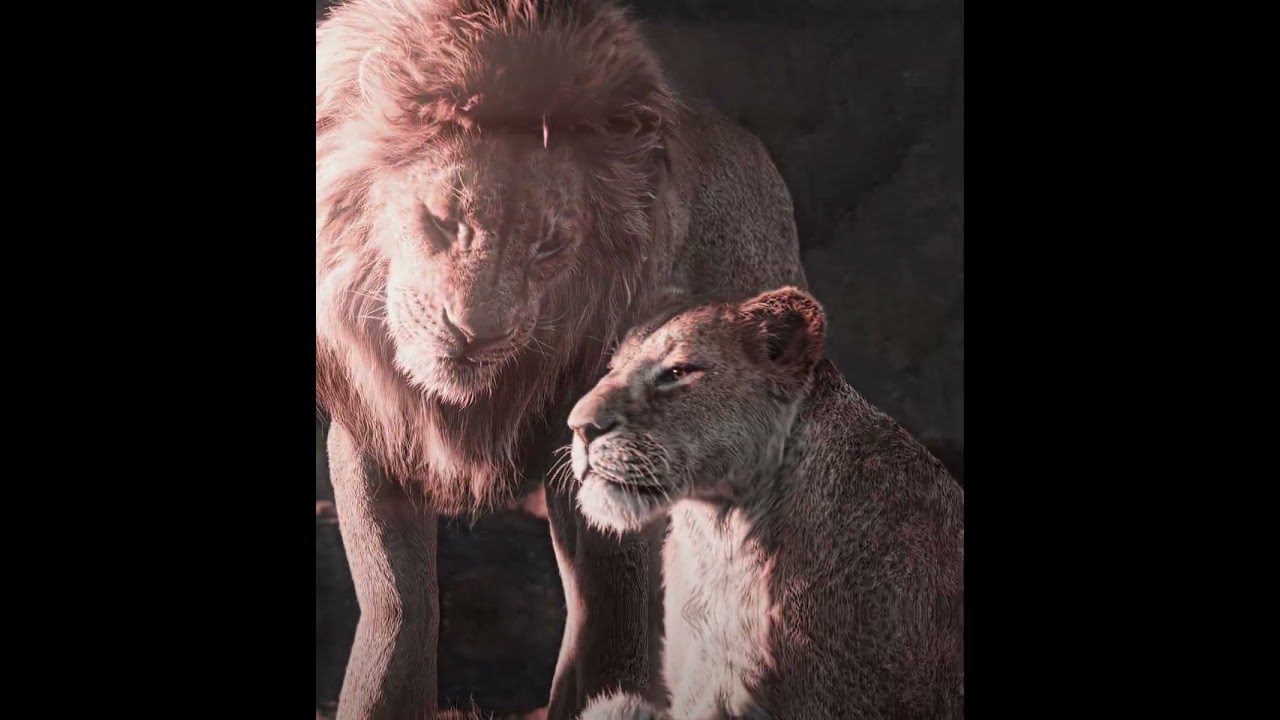 "Simba x All The Stars | The Lion King Edit"