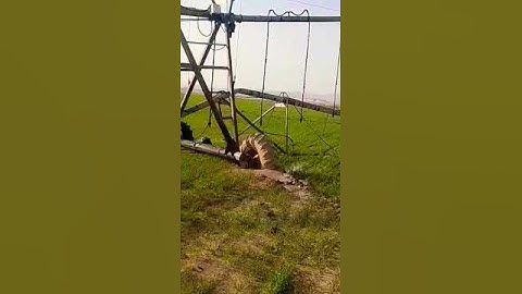 During irrigation pivot Collapse