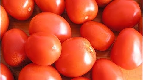 Raynbow 3Way Sorting Tomatoes | RAYTEC VISION SpA