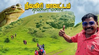 K2K -Epi - 17 | தவளை மலை பயணம் ⛰ - நீலகிரி மாவட்டம் | Adventure Trekking at Frog Hills 😬