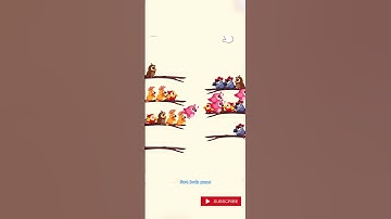 Bird sort game | sort | puzzle game | games