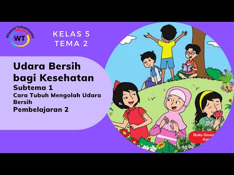 Video: Apakah yang dilakukan oleh Akta Udara Bersih?