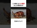 貝なのに魚を捕まえられる「アンボイナガイ」#生き物 #生物 #動物 #雑学のサムネイル