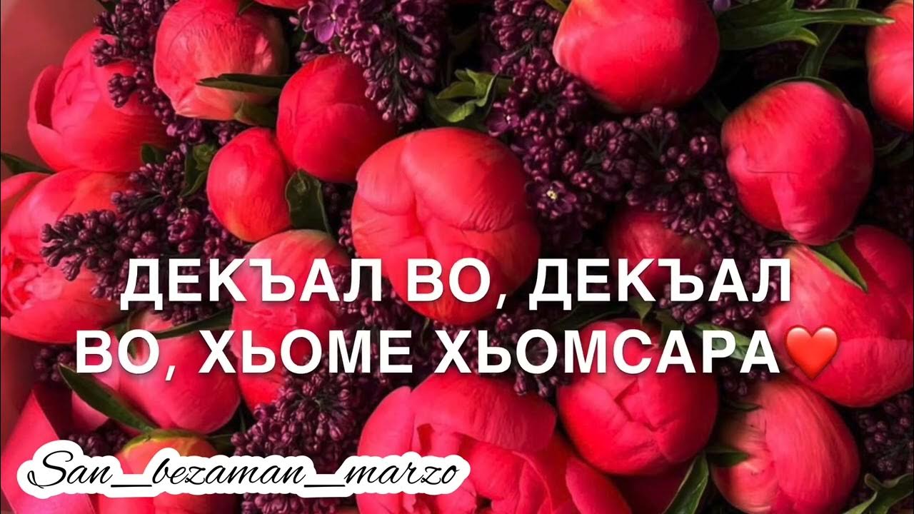Дал декъал войл хьо сан хьоме да. Винчу денца декъал войла хьо. Марваш декъал веш винчу денца дешнаш. Вешина лерина хаза дешнаш. Декъал веш дешнаш.