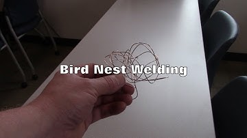 MIG Bird Nesting