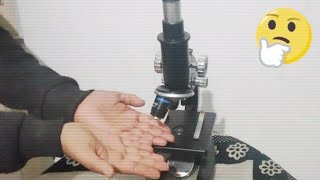 Guarda i batteri vivi sulle mani \/\/ Batteri al microscopio \/\/ Batteri in un microscopio