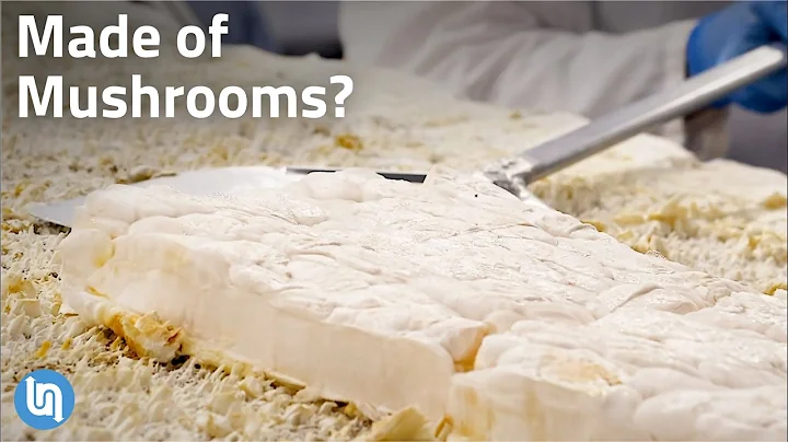 Why Mushrooms are Starting to Replace Everything