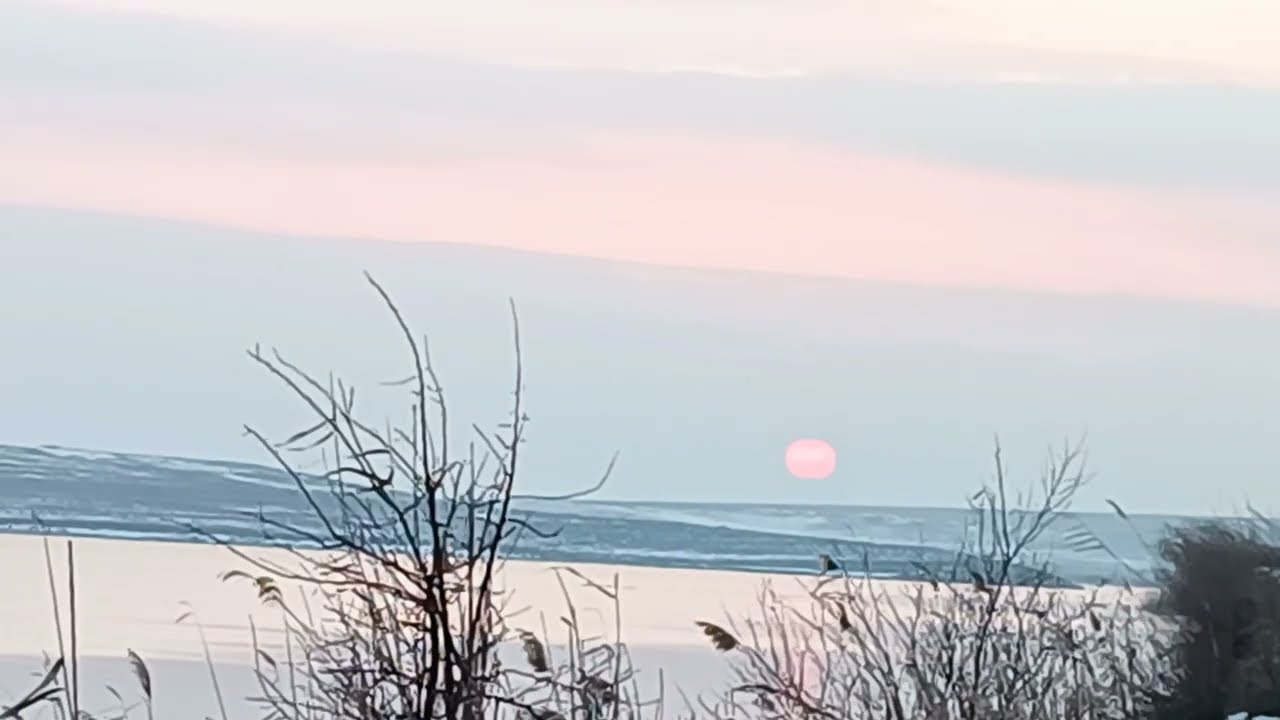 Pink sun ☀️ before sunset / Розовое солнце ☀️ перед закатом + 