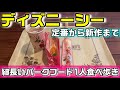東京ディズニーシーで細長いパークフードを1人食べ歩き