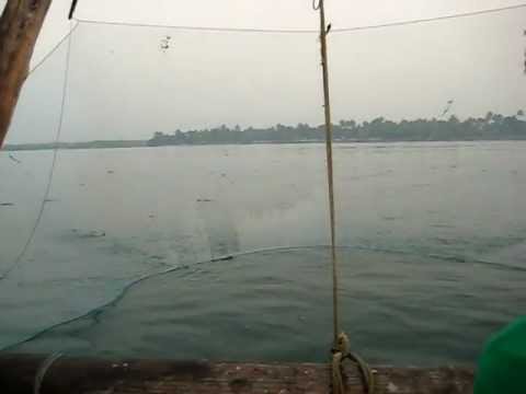 Video: Kaip Pasodinti žvejybos Tinklą