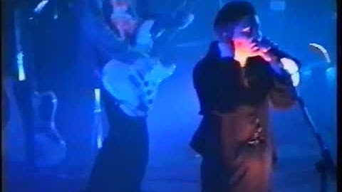 Cocteau Twins - Evangeline (live in Nancy, 1994)