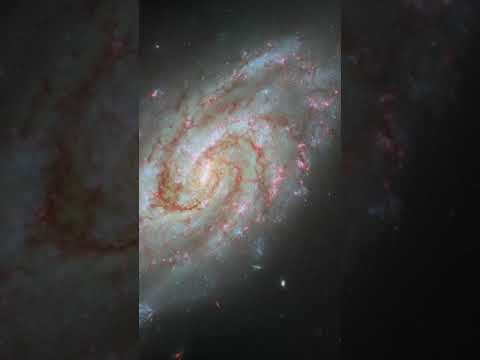 IC 1954  — Hubble Space Telescope #shorts