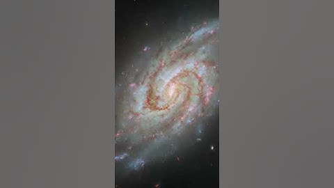 IC 1954  — Hubble Space Telescope #shorts