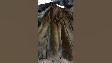 Куница крашеная в коричневый - видео