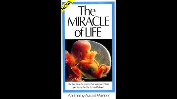 Opening to NOVA: The Miracle of Life 1986 VHS