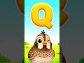 Q for Quail | Alphabet Animals for Kids #shorts #foryou