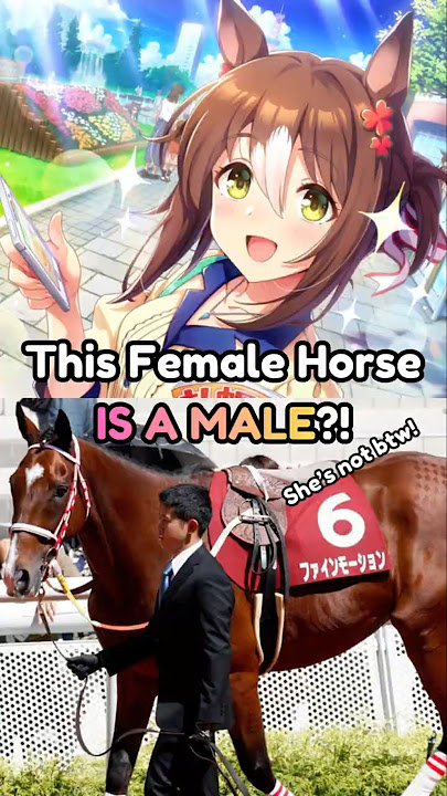 Fine Motion, the androgynous horse?! (She's a female)