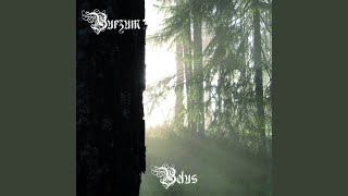 Video thumbnail of "Burzum - ii. Belus Doed"