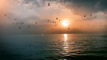"يَا قَوْمِ إِنَّمَا هَٰذِهِ الْحَيَاةُ الدُّنْيَا مَتَاعٌ"تلاوة هادئة مريحة للأعصاب |المنشاوى🎧😌