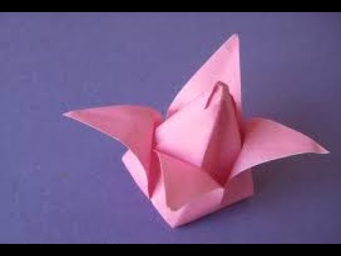 Xếp giấy Origami|Hướng dẫn gấp hoa súng giấy đơn giản | Foci