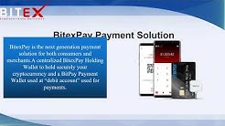 Best Payment Solution | Bitex Global Co.