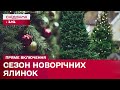 Новорічний настрій у продажу! Скільки коштують новорічні ялинки