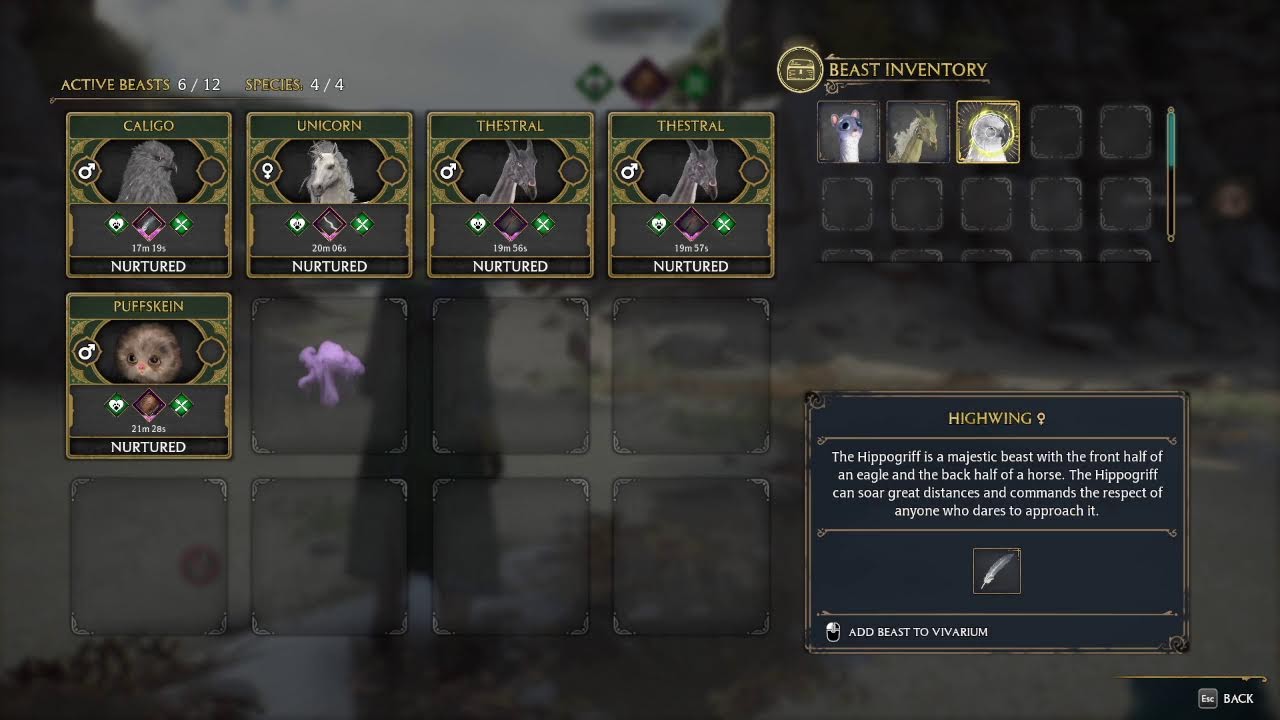 Hogwarts Legacy Gameplay 2.7.26