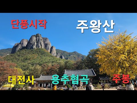   청송 주왕산 대전사 용추협곡 단풍시작 Juwangsan Mountain 2023 10 24