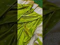 😍 Olive Green colour Banarasi mashru ailk saree with gold zari weaving ✨️