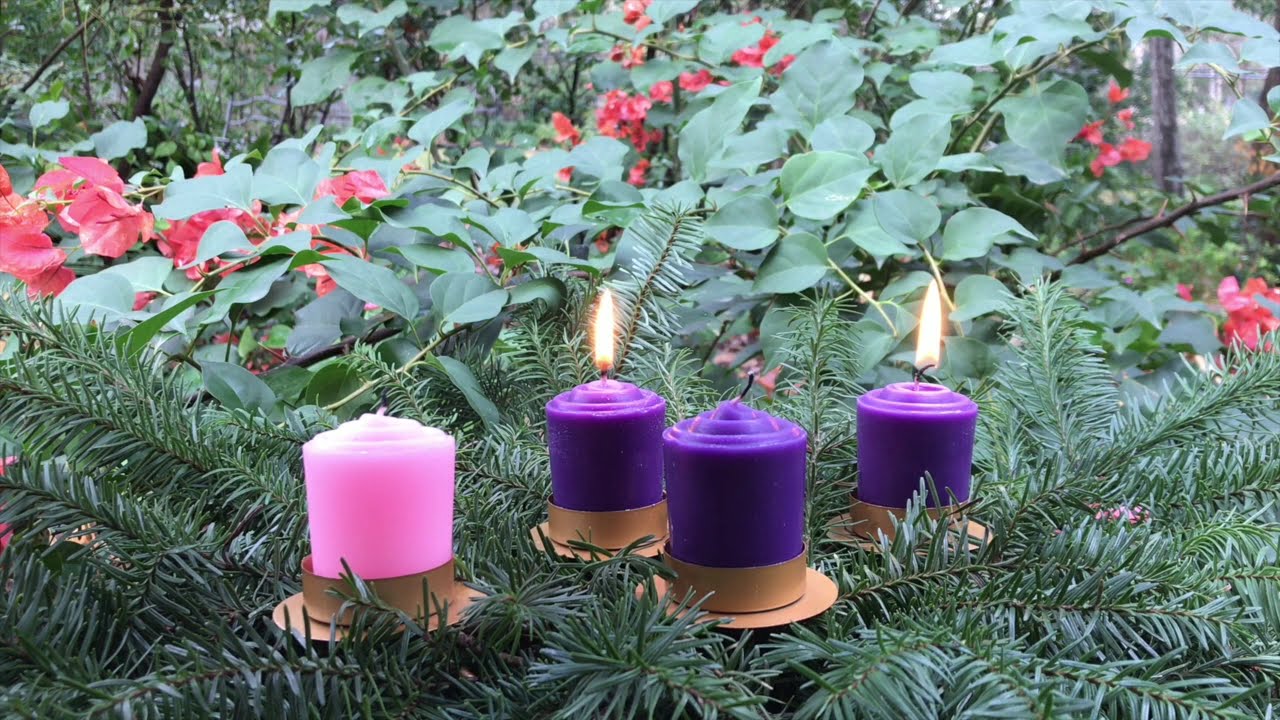 A Vision of the Church - Friday of the Second Week of Advent