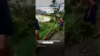Berita Solo Hari Ini: Angin Puting Beliung Mengamuk di Mojolaban, 2 Orang Tewas Tertimpa Pohon