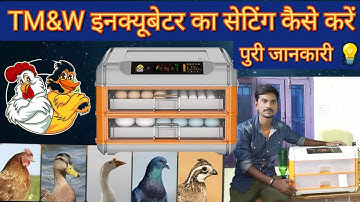 How to use and set up 128 egg incubator | TM&W वाला 128 अंडो का इनक्यूबेटर सेटिंग कैसे करें !
