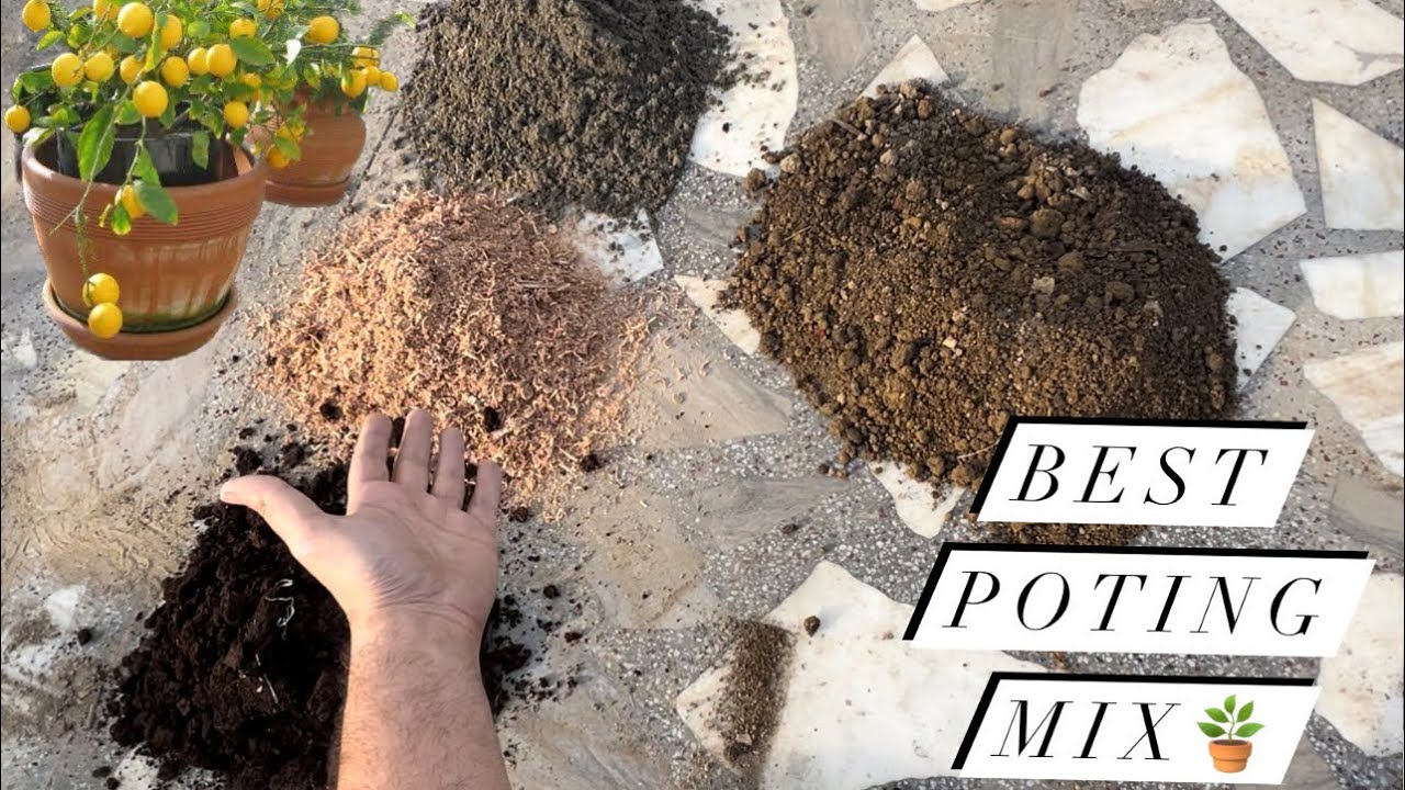 Best and Easy To Make Soil Mix for plants 🪴 | Fruit In Pots | - YouTube