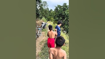 Quá cảm giác với loài cá quá khoẻ! #fishing #cauca #shorts